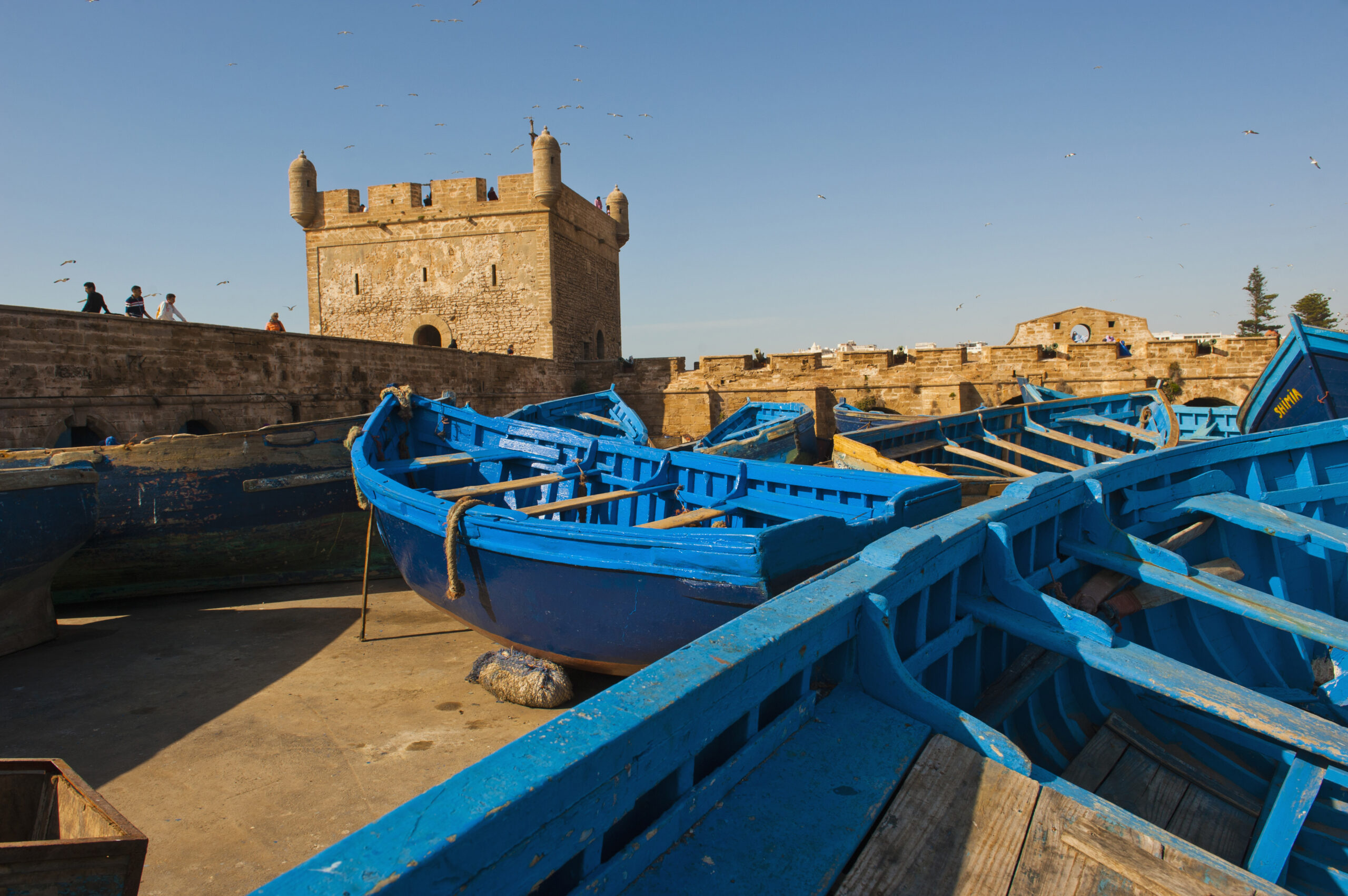 Blue fishing boats in Essaouira Port, formerly Mogador, Morocco, North Africa, Africa