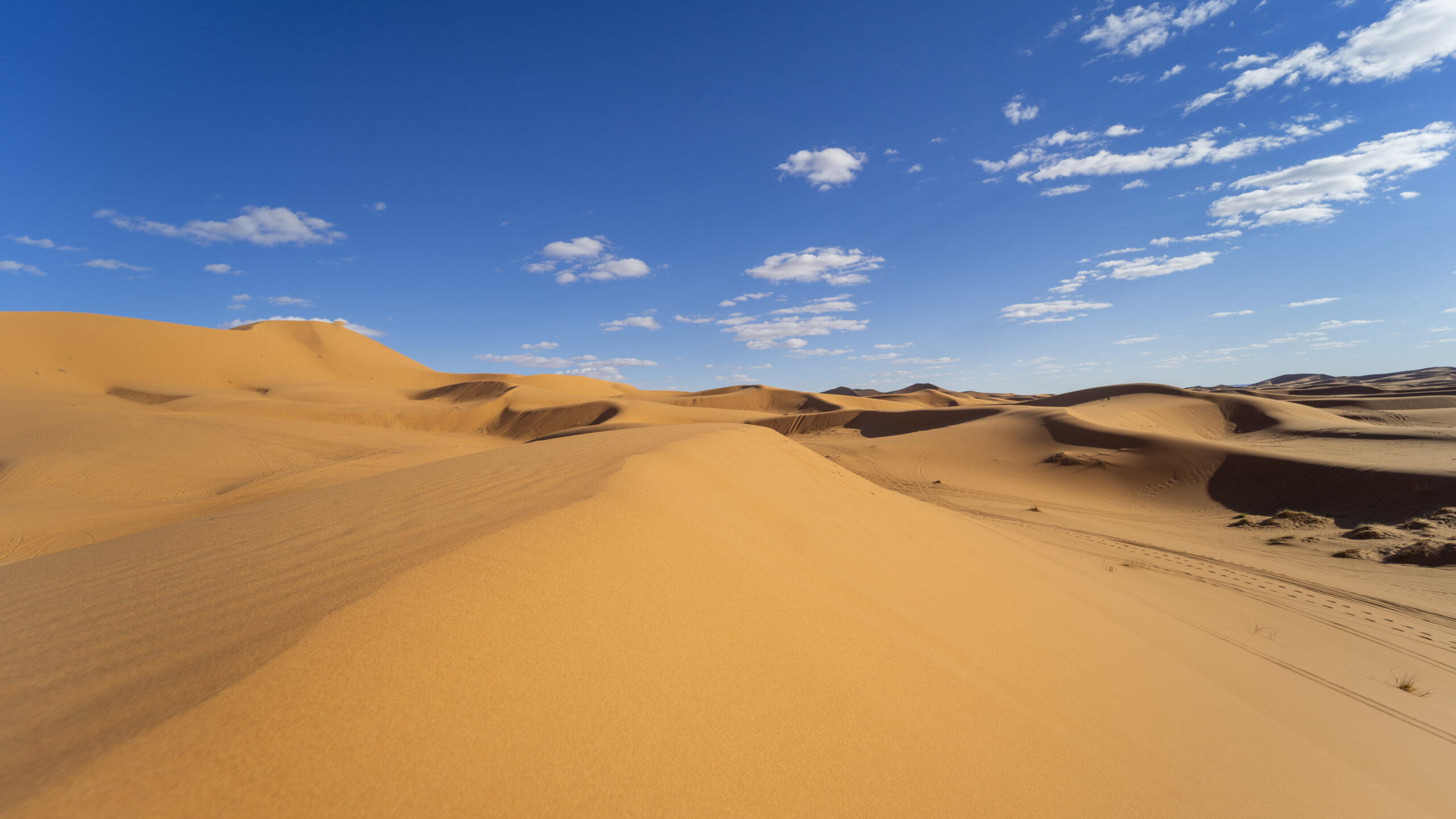 Sunset light and footprints in the desert of Merzouga in Morocco