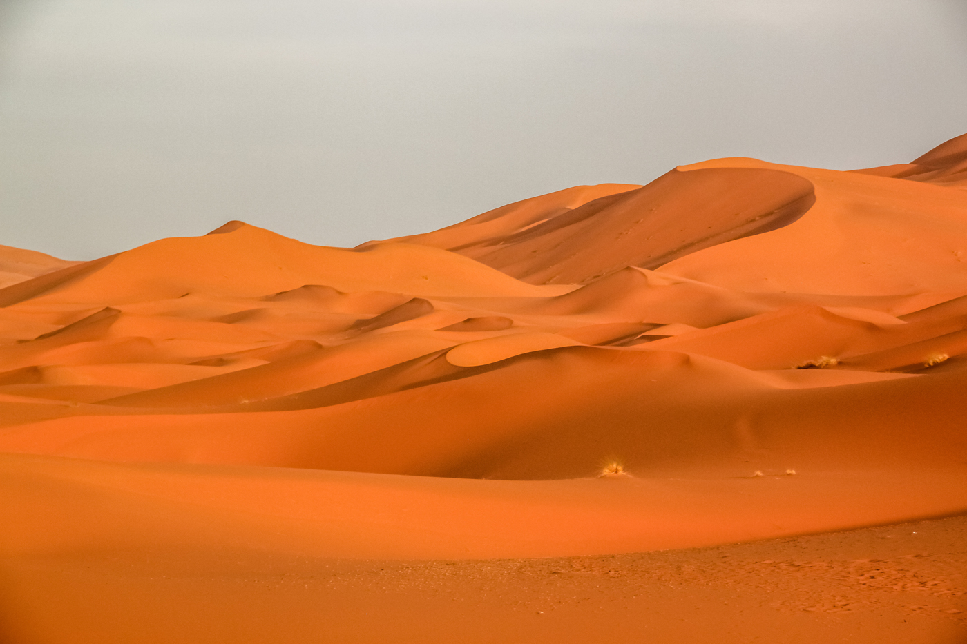 Stunning sand dunes of Sahara desert in Merzouga, Morocco