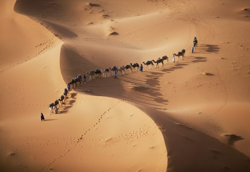 The setting sun over the desert makes a enchanting shadow as a caravan of camel merchants winds their way toward the next stop on their journey.